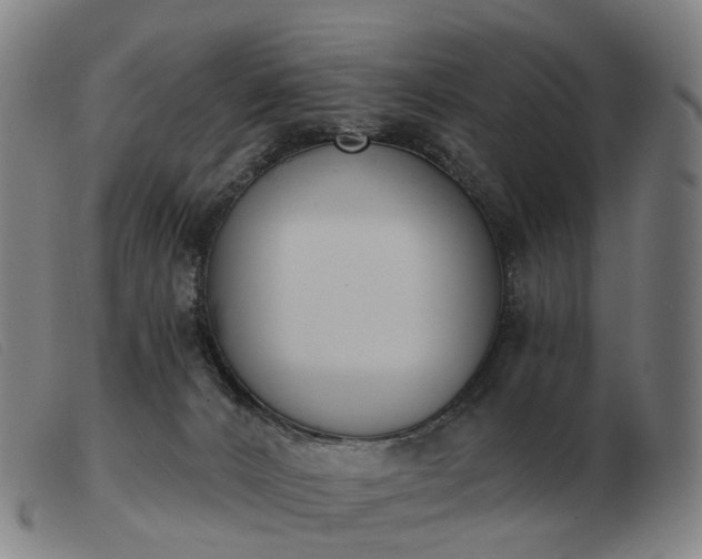 X0000103470032200809191846