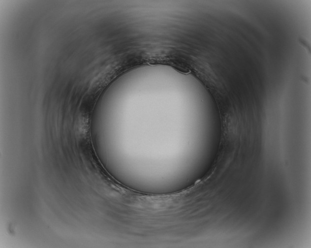 X0000103470033200809191846