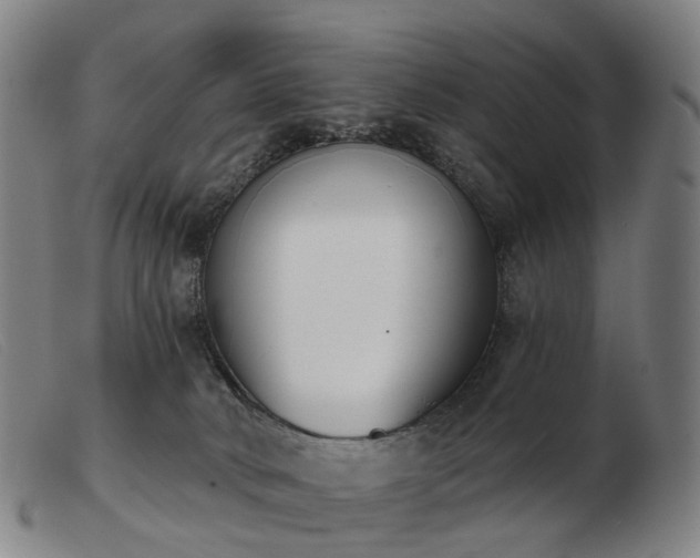 X0000103470034200809191846