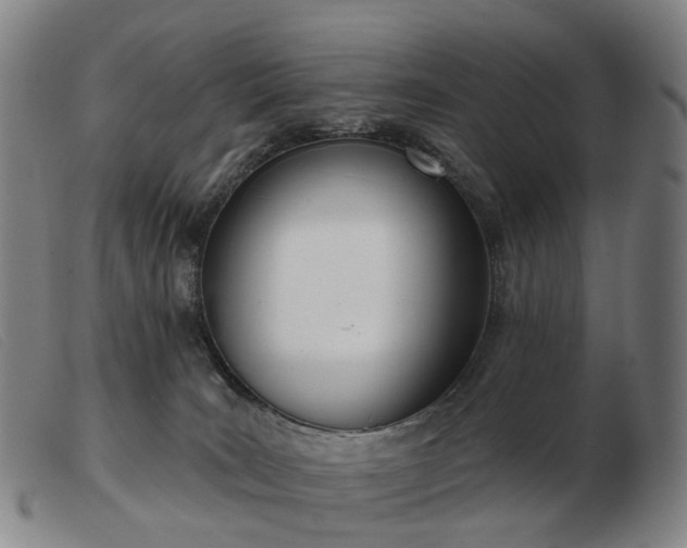 X0000103470035200809191846