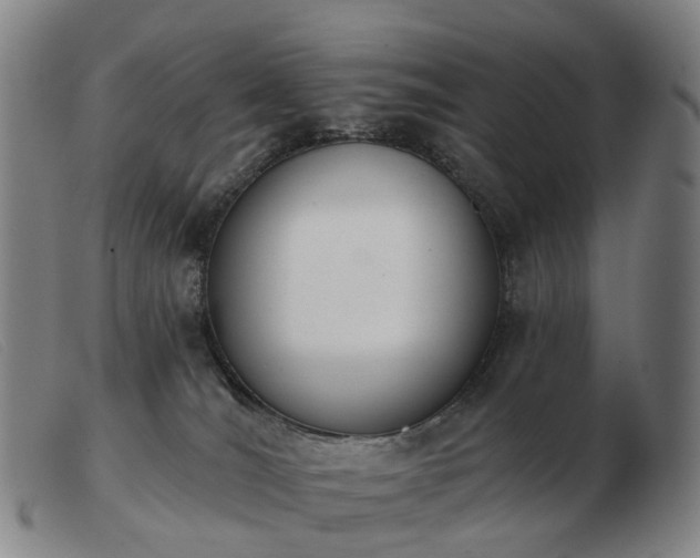 X0000103470036200809191846