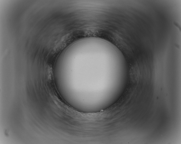 X0000103470038200809191845