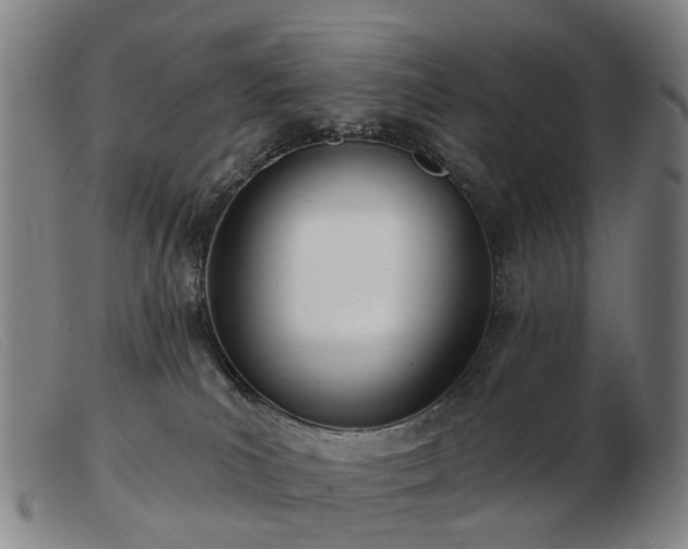 X0000103470039200809191845