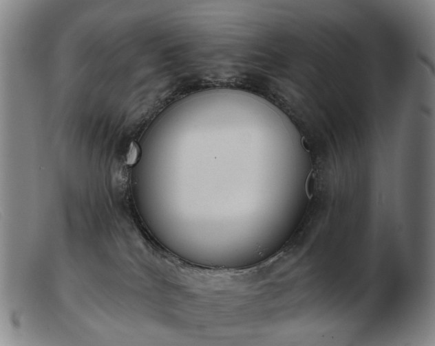 X0000103470040200809191845