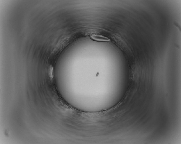 X0000103470041200809191845