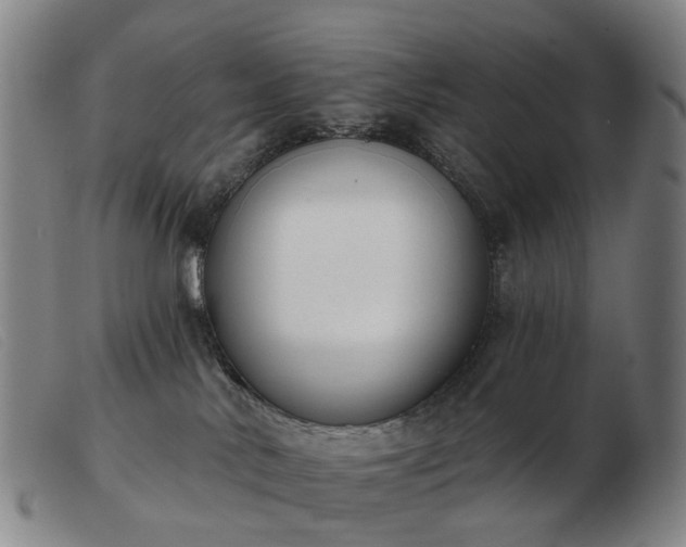 X0000103470042200809191845