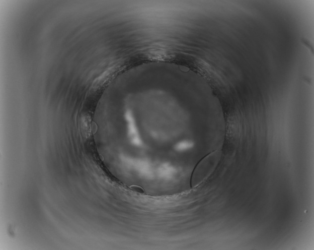 X0000103470043200809191845