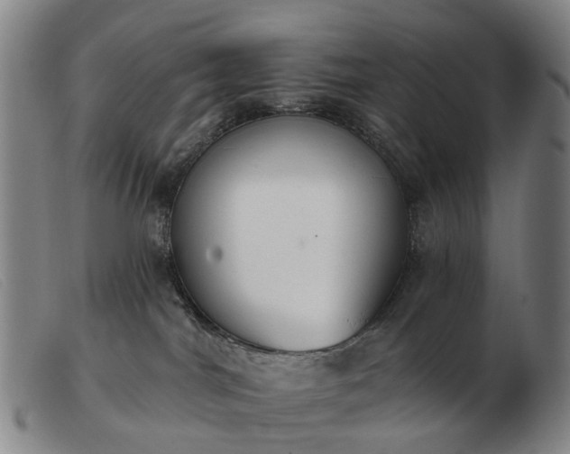 X0000103470044200809191845