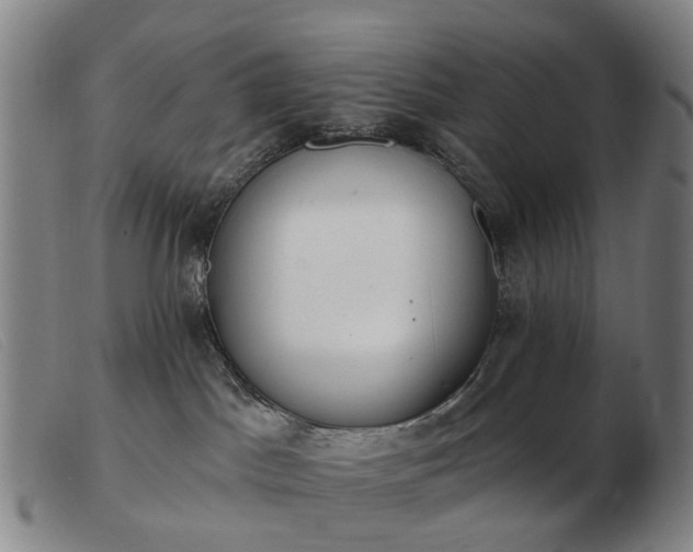 X0000103470045200809191845