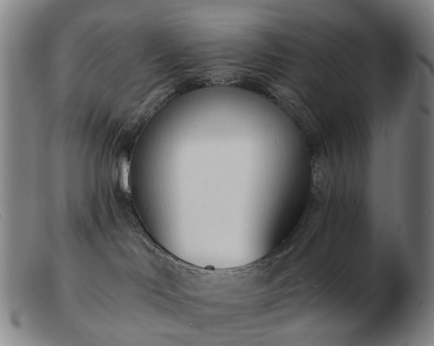 X0000103470046200809191845