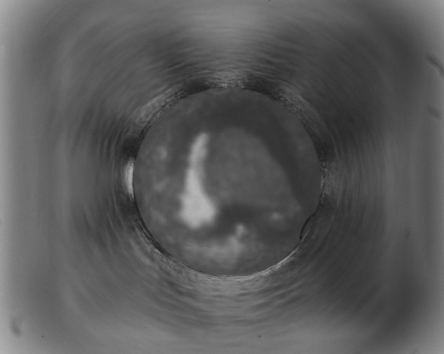 X0000103470047200809191845