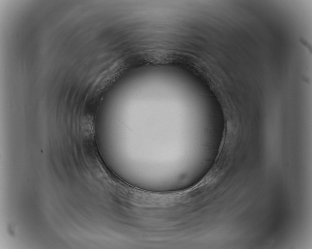 X0000103470048200809191845