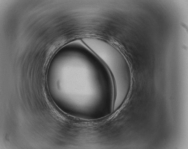 X0000103470049200809191845