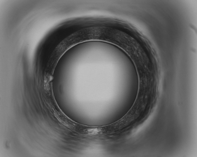 X0000103470050200809191845