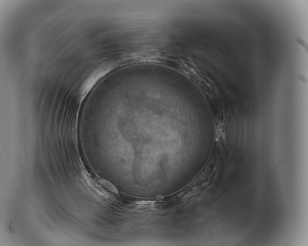 X0000103470052200809191845