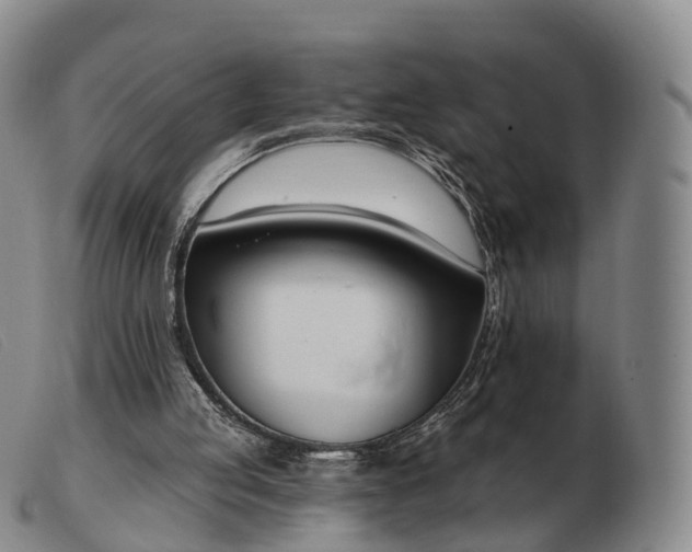 X0000103470053200809191845