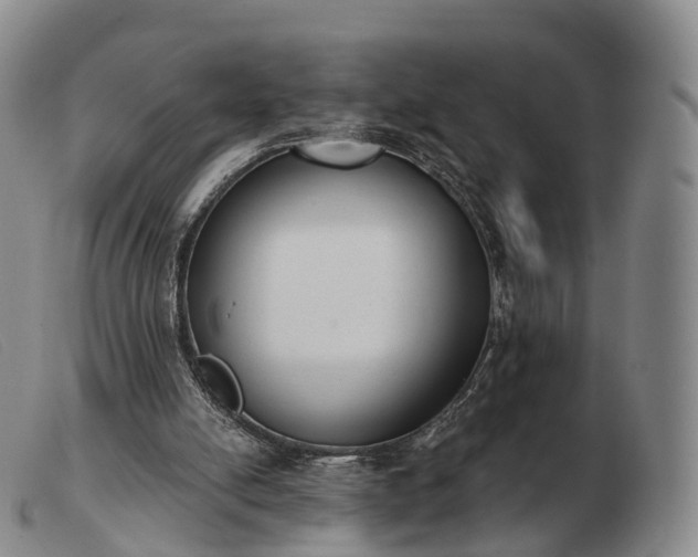 X0000103470054200809191845