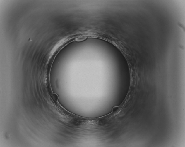 X0000103470056200809191845