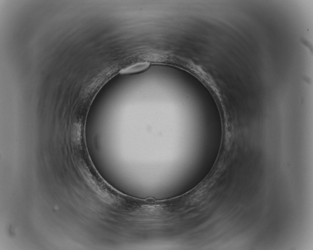 X0000103470057200809191845