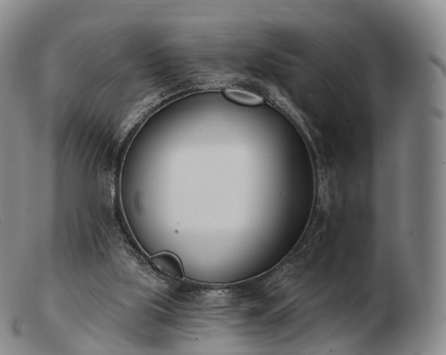 X0000103470059200809191845