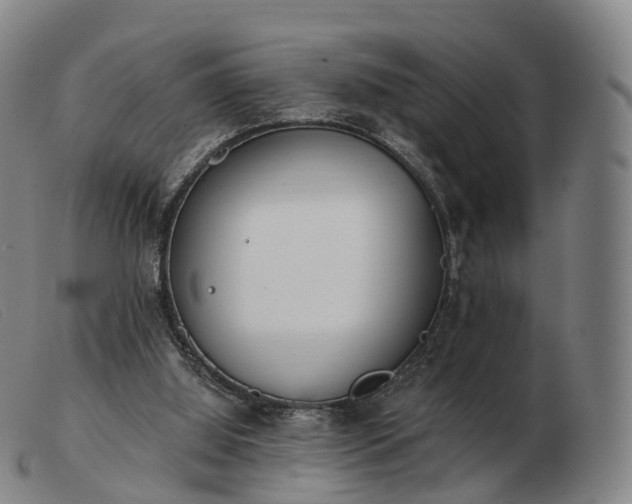 X0000103470060200809191845