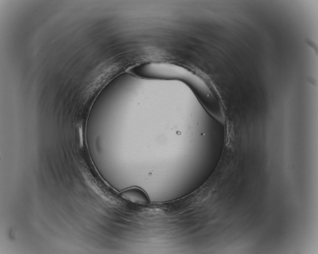 X0000103470061200809191845