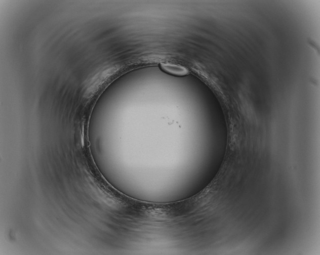 X0000103470062200809191845