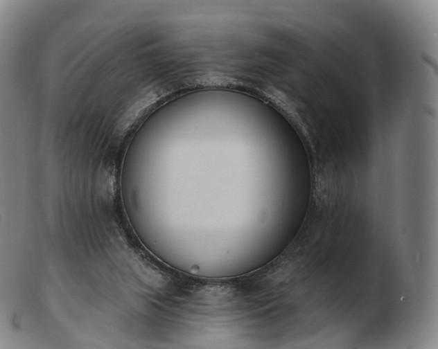 X0000103470063200809191845