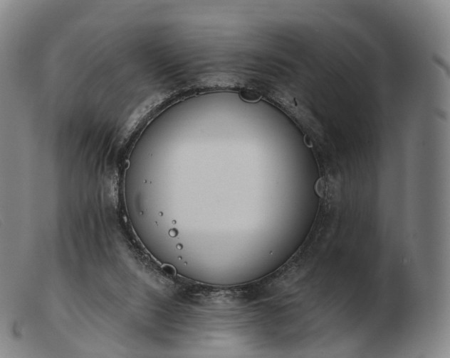 X0000103470064200809191845