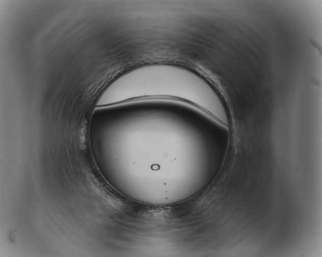 X0000103470065200809191845