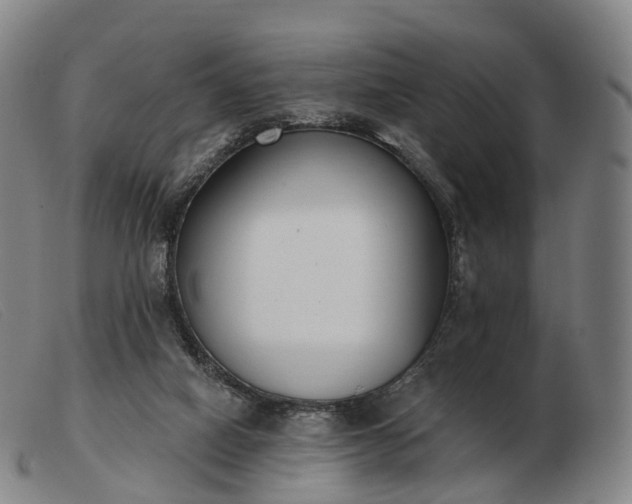 X0000103470066200809191845