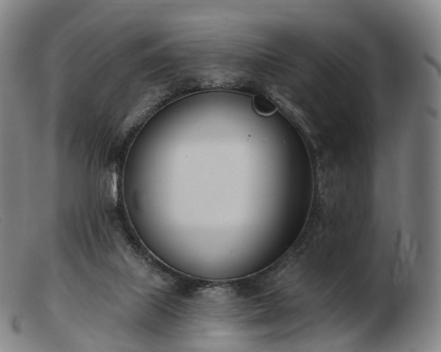 X0000103470067200809191845