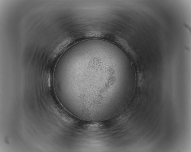 X0000103470068200809191845