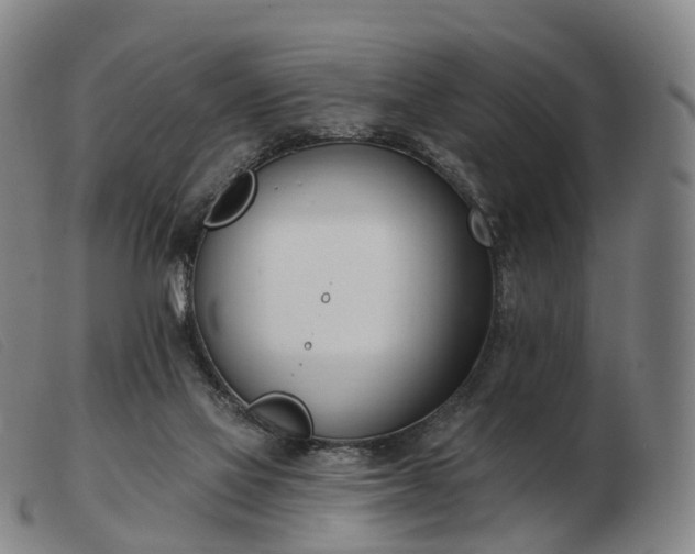 X0000103470069200809191845