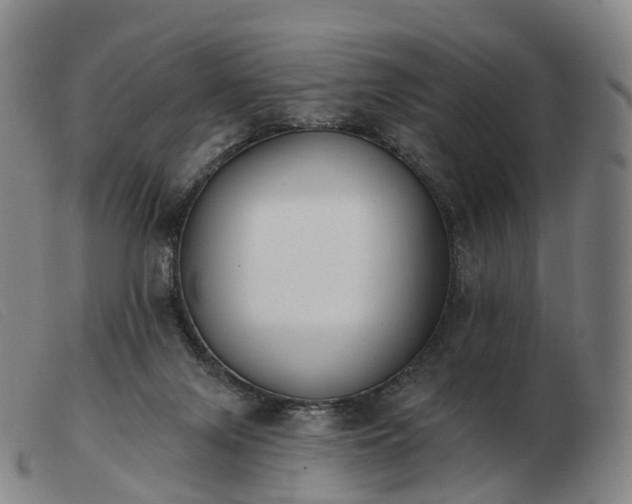 X0000103470071200809191845