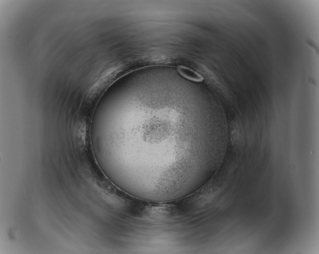 X0000103470072200809191845