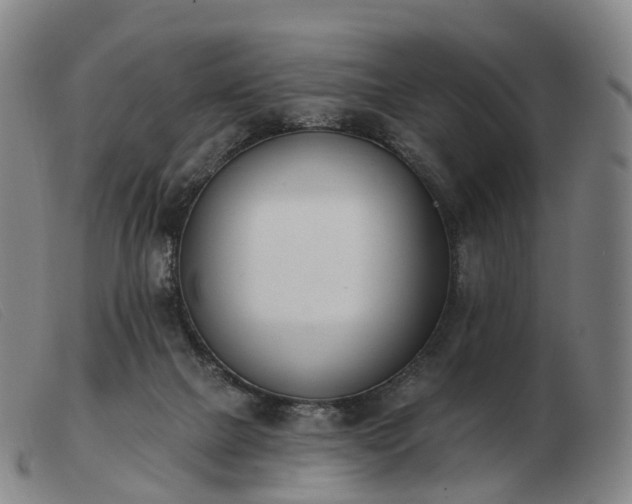 X0000103470073200809191845