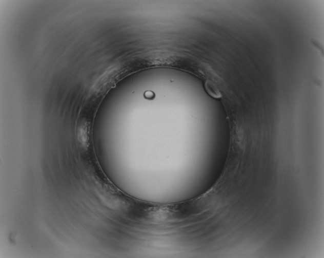 X0000103470074200809191845