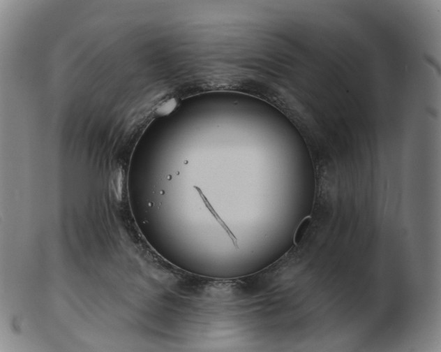 X0000103470076200809191845