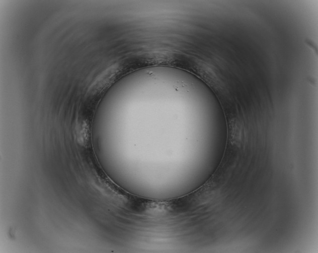 X0000103470077200809191845