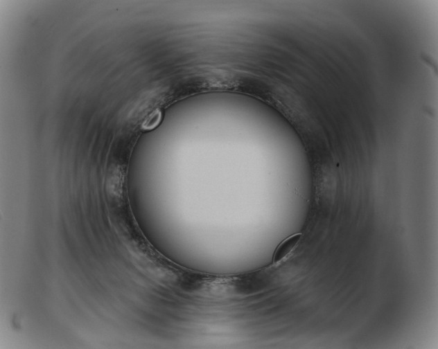 X0000103470078200809191845