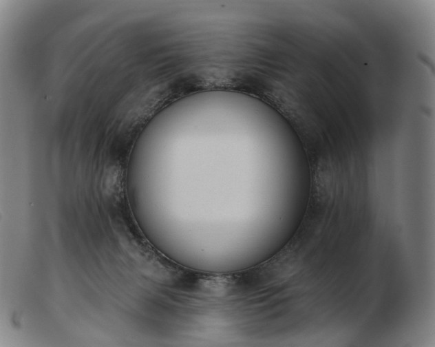 X0000103470079200809191845