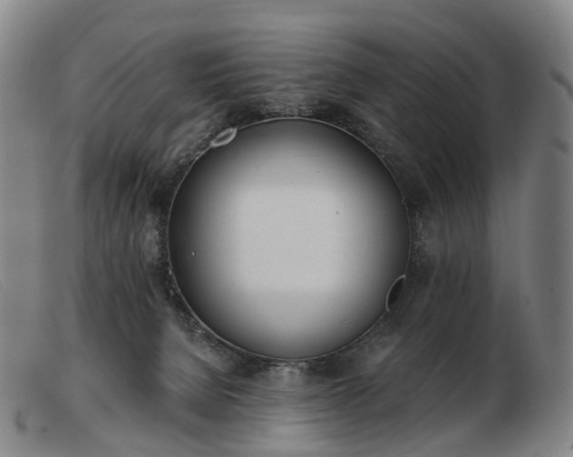 X0000103470080200809191845