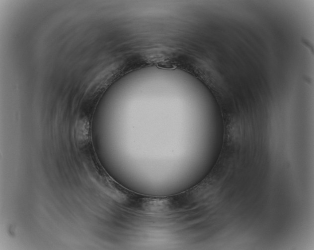 X0000103470081200809191845