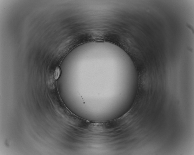 X0000103470082200809191845