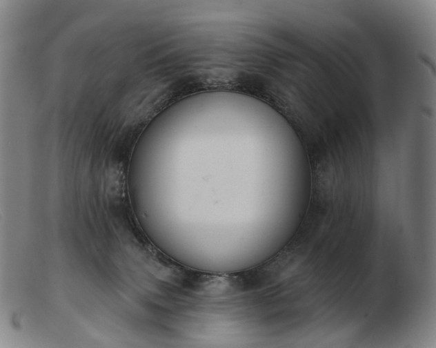 X0000103470083200809191845