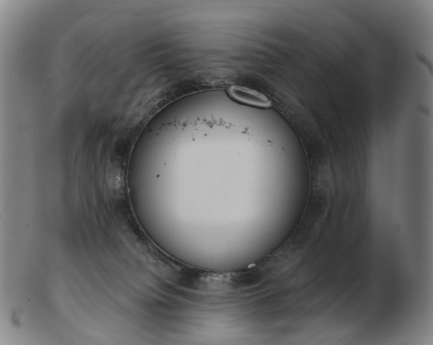 X0000103470084200809191845