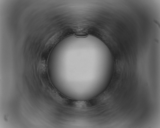 X0000103470085200809191845