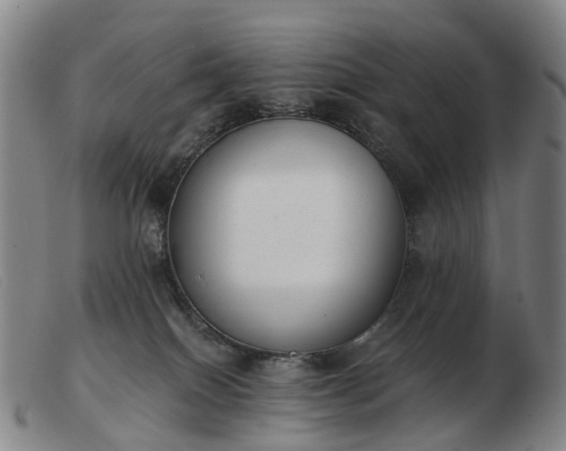 X0000103470086200809191845