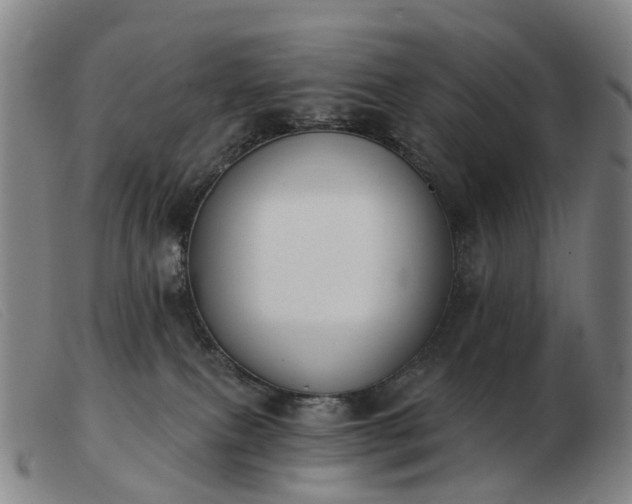 X0000103470087200809191845